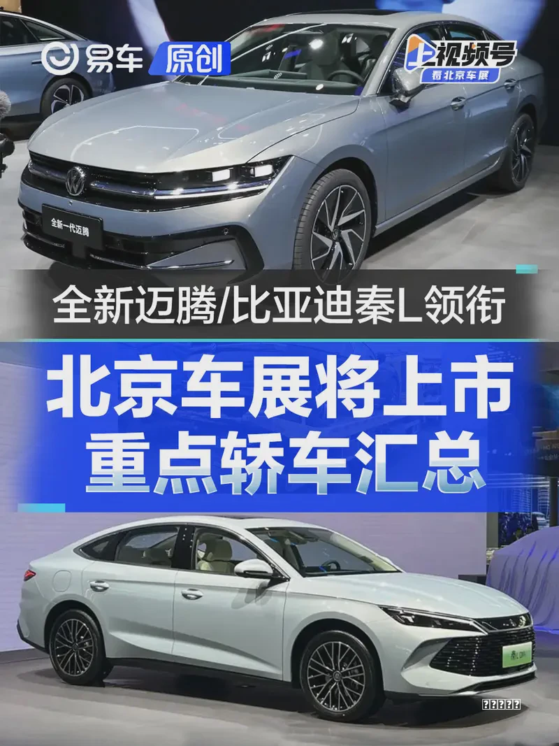 阵容轿车SUV安全系数大PK，看完不再选错